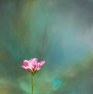 kleine-schoenheit-02